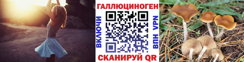 Псилоцибиновые грибы MAGIC MUSHROOMS  МЕГА как войти  даркнет формула  Агидель 